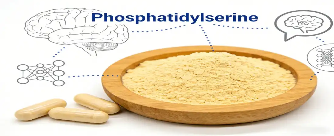 phosphatidylserine powder bulk for supplements phosphatidylserine powder bulk for supplements