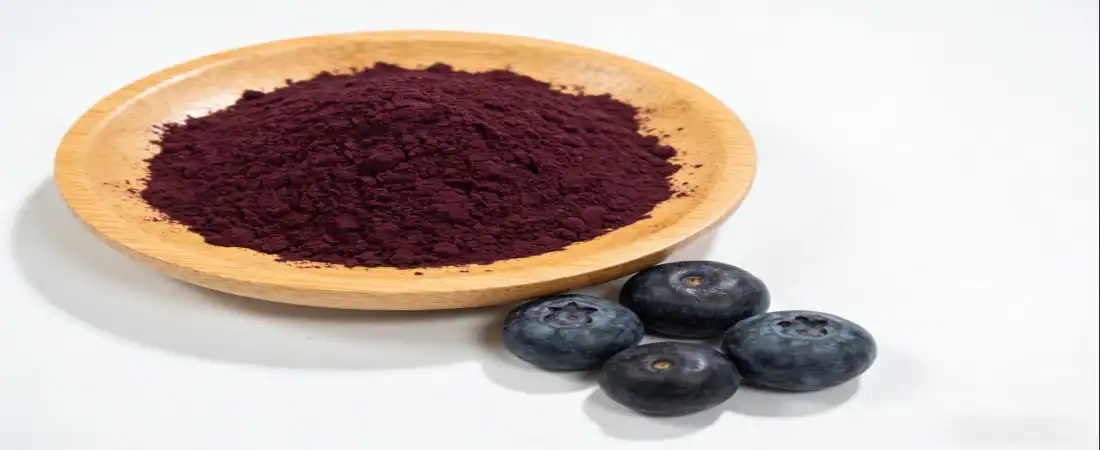 blueberry concentrate powder blueberry concentrate powder