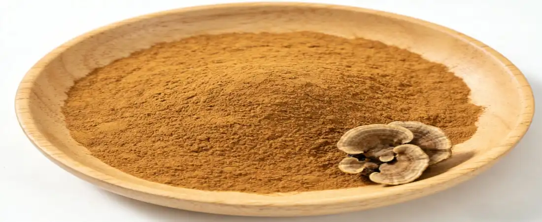turkey tail mushroom powder bulk