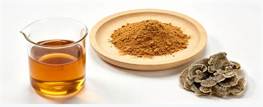 water soluble for turkey tail mushroom powder bulk
