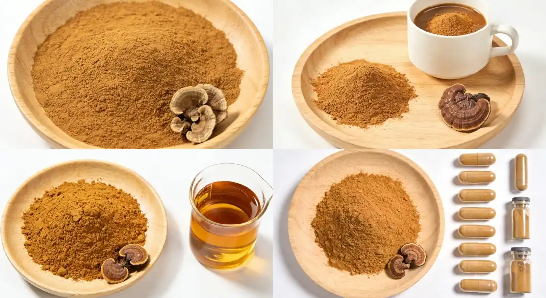 application for turkey tail mushroom powder bulk application for turkey tail mushroom powder bulk