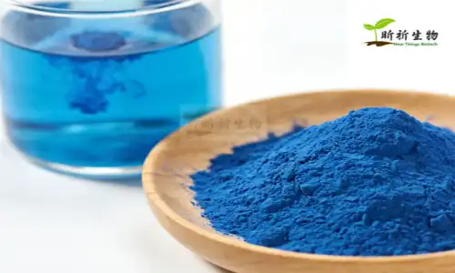 bubuk spirulina phycocyanin biru