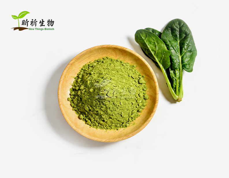 పాలకూర పొడి బల్క్