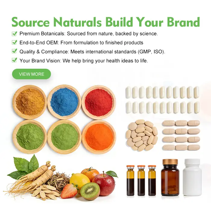 手机端banner1_1769507896804