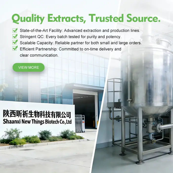 手机端banner3_1769507908024